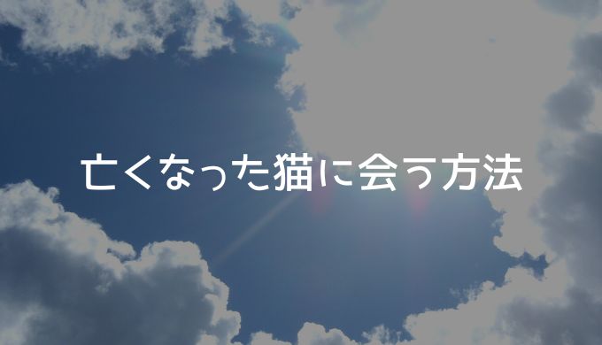 亡くなった猫に会う方法