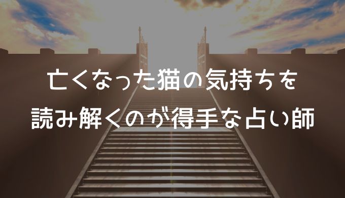 亡くなった猫の気持ちを霊視・タロットなどで読み解くのが得手な占い師