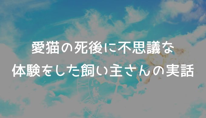 愛猫の死後、不思議な体験をした飼い主さんの実話