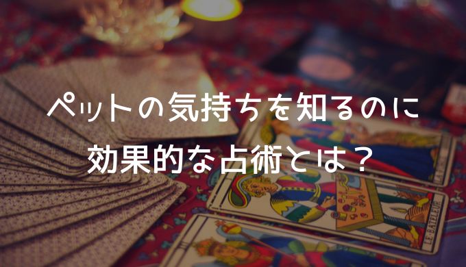 ペットの気持ちを知るのに効果的な占術とは？