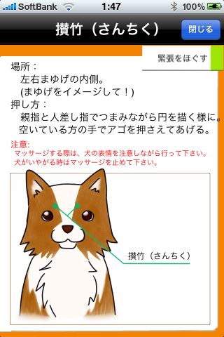 いぬツボ ワンちゃんのつぼを知り マッサージして溜まっている疲れをとってあげよう 107 Appbank