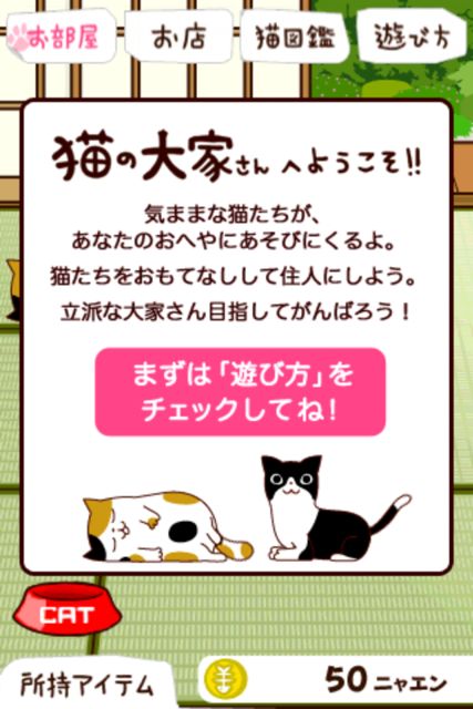 猫の大家さん たくさんの猫さんがうちに入り浸ってくれたら幸せ ェ にゃ 無料 Appbank