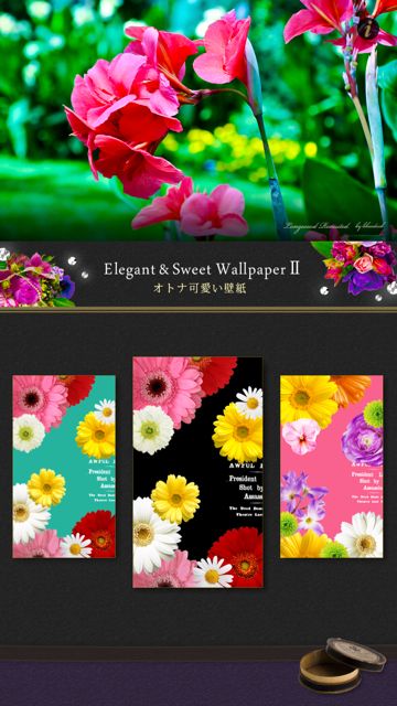 オトナ可愛い壁紙 Elegant Sweet Wallpapers 女子向け壁紙アプリ Appbank
