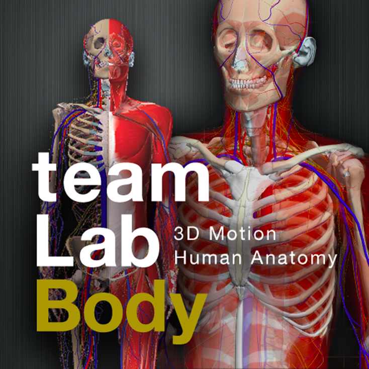 Ipad Teamlabbody 3dモデルで骨格の動きや人体について学べる本格医学アプリ Appbank