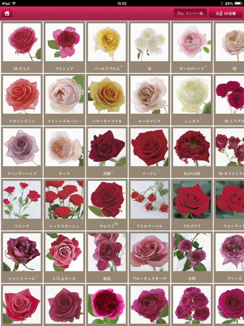 Ipad Iphone バラ図鑑by花時間 約570品種のバラのデータを収録した すごく華やかな図鑑アプリ Appbank