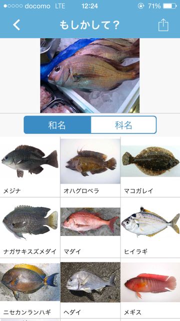 魚みっけ 釣った魚の種類がすぐにわかる 高性能の魚判定アプリ Appbank