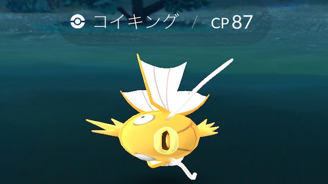 ポケモンgo ついに金のコイキングゲット コイキング何匹で色違いは出る Appbank