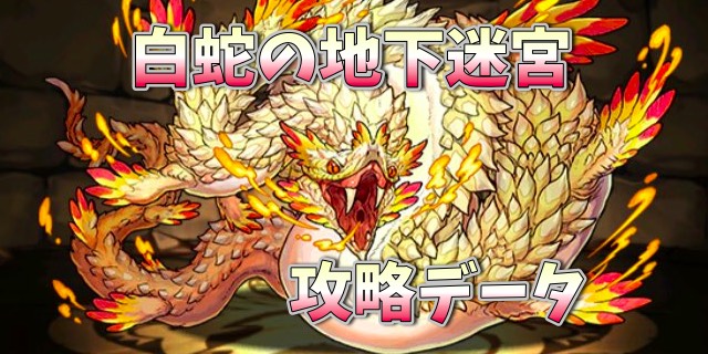 パズドラ攻略 白蛇の地下迷宮 1層 最終層 攻略データ Appbank