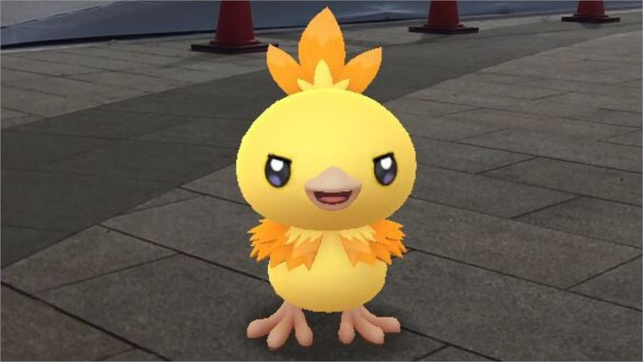 ポケモンgo まさかの色違いアチャモ連続ゲット 出現率など検証した5月コミュニティ デイレポート Appbank