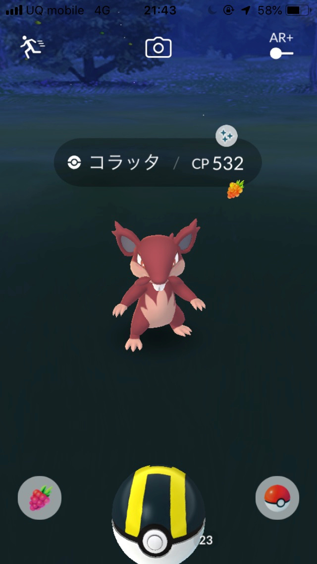 ポケモンgo 野生の色違いアローラを狙ってみた 出現率爆上げ中かも Appbank