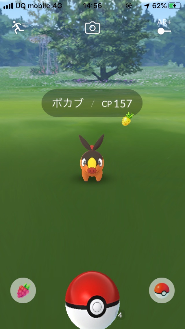 ポケモンgo エンブオー作り放題 超貴重な ポカブ の巣に突撃して出現数などをチェックしてみました Appbank