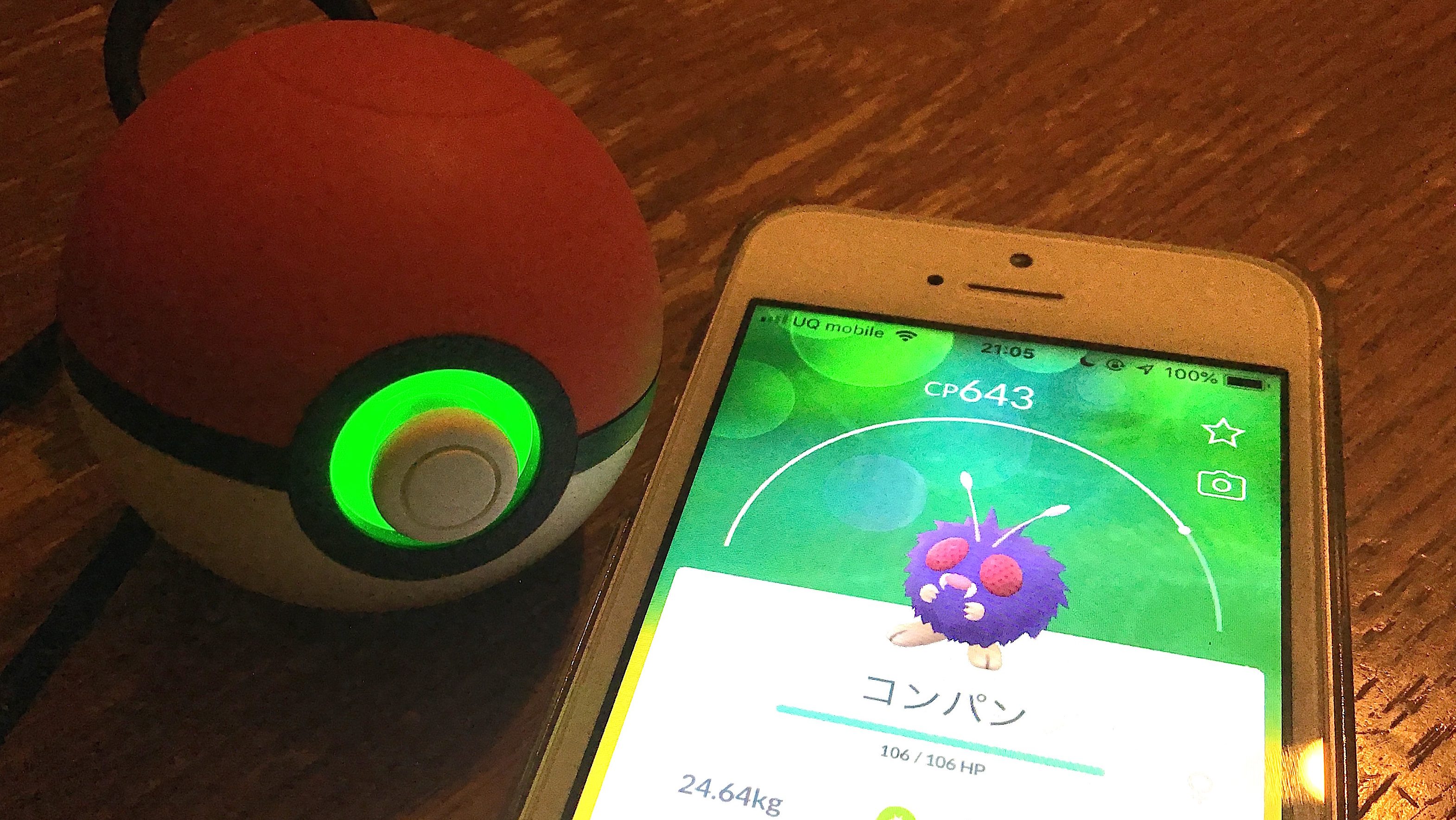 ポケモンgo 色違いコンパンを狙って700匹ほどポケモンを捕まえた結果 Appbank