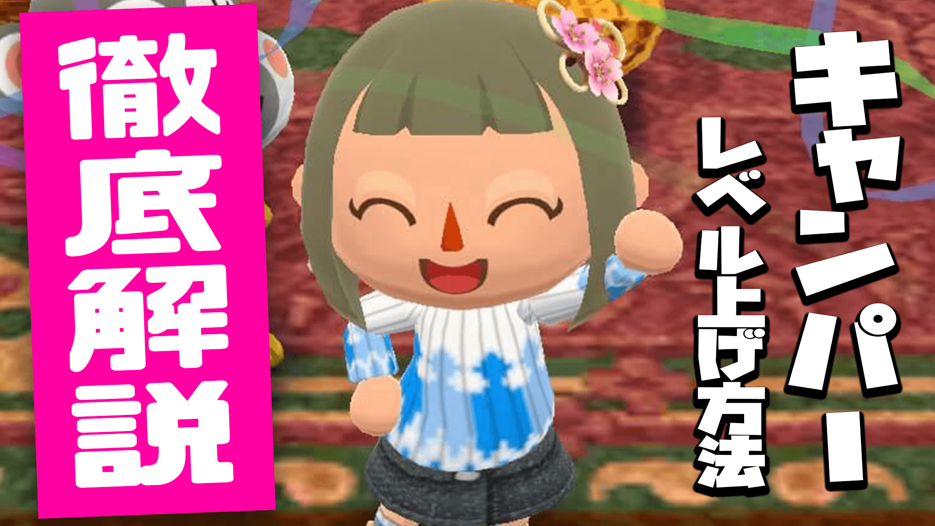 どうぶつの森 キャンパーレベルの上げ方徹底解説 ポケ森 Appbank