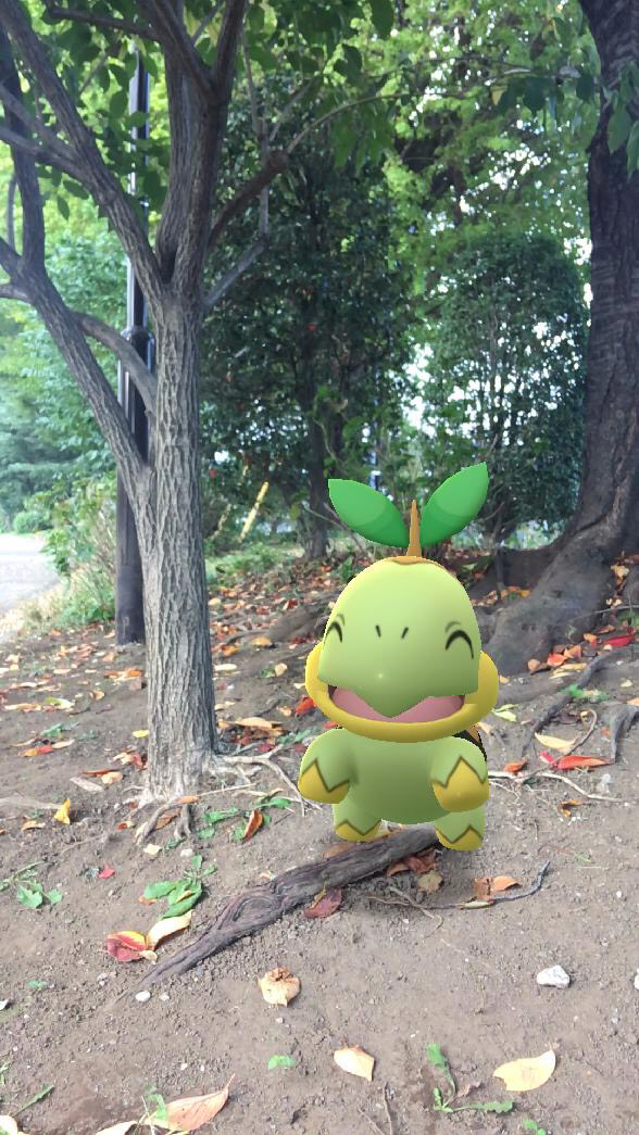 ポケモンgo ポケモンと公園をぶらりと散歩 やはりar撮影は外の方が楽しい Appbank