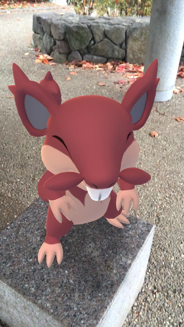 ポケモンgo 干支にちなんだポケモンをar撮影 牛モチーフのポケモンって意外と少ないんですね Appbank