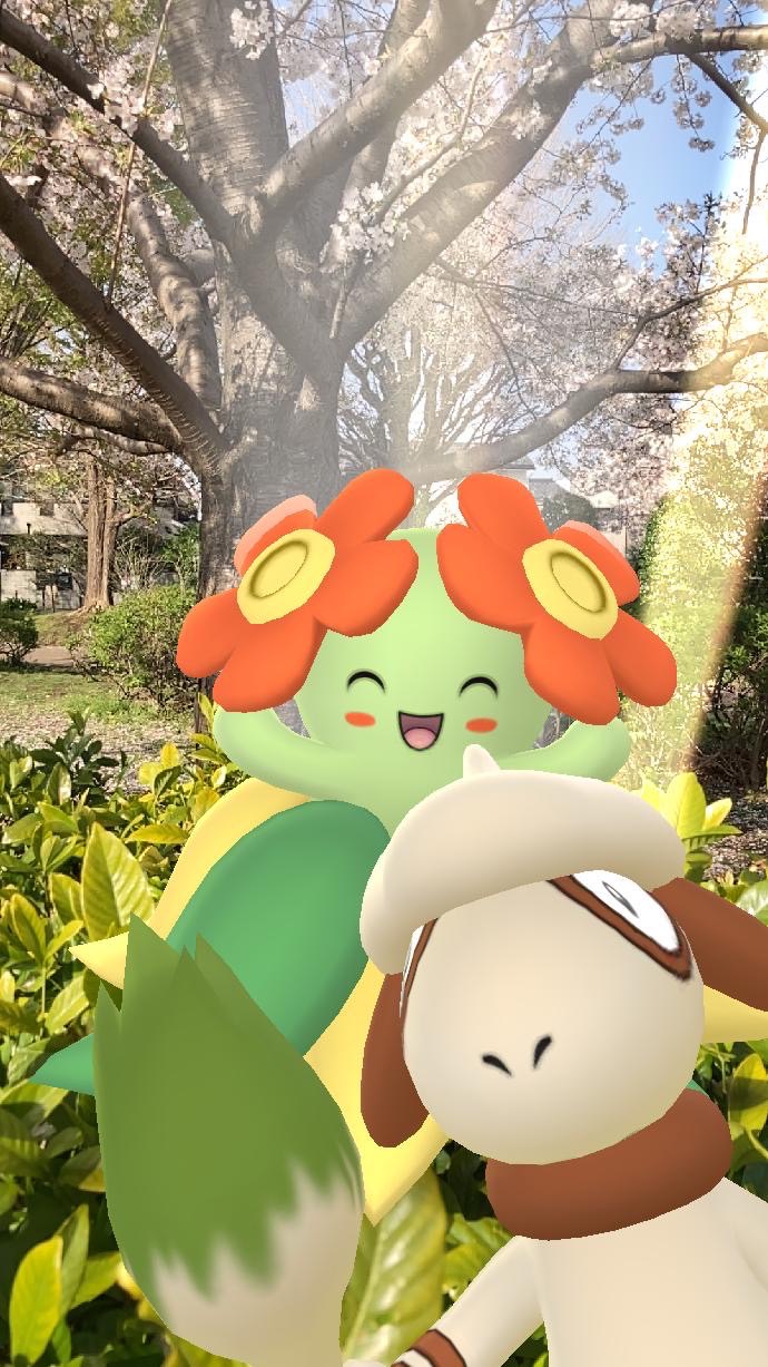 ポケモンgo 暖かい日にポケモンとかくれんぼ カラフルなポケモンたちを撮影してみました Appbank