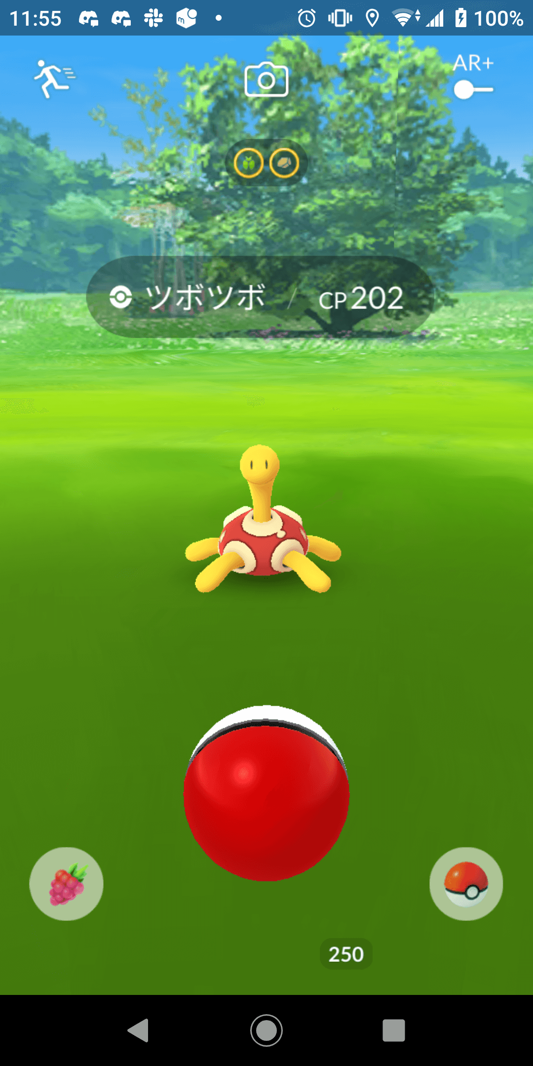 ポケモンgo フォレトスやキリンリキが登場 しぜんこうえん出現ポケモン速報 エンテイの姿も Appbank