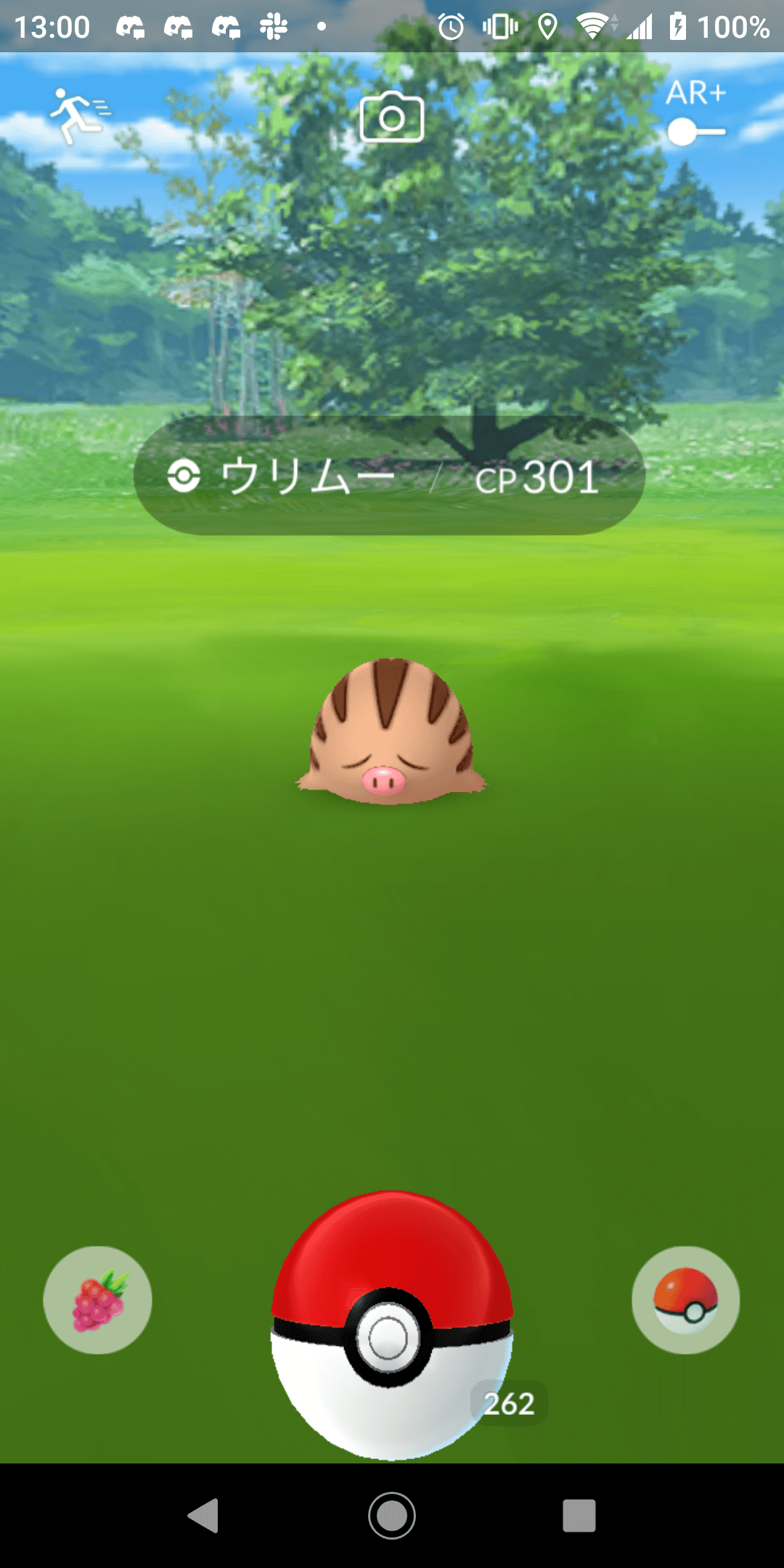 ポケモンgo ヨーギラスを狙え いきなりキングドラも シロガネやま出現ポケモン速報まとめ Appbank