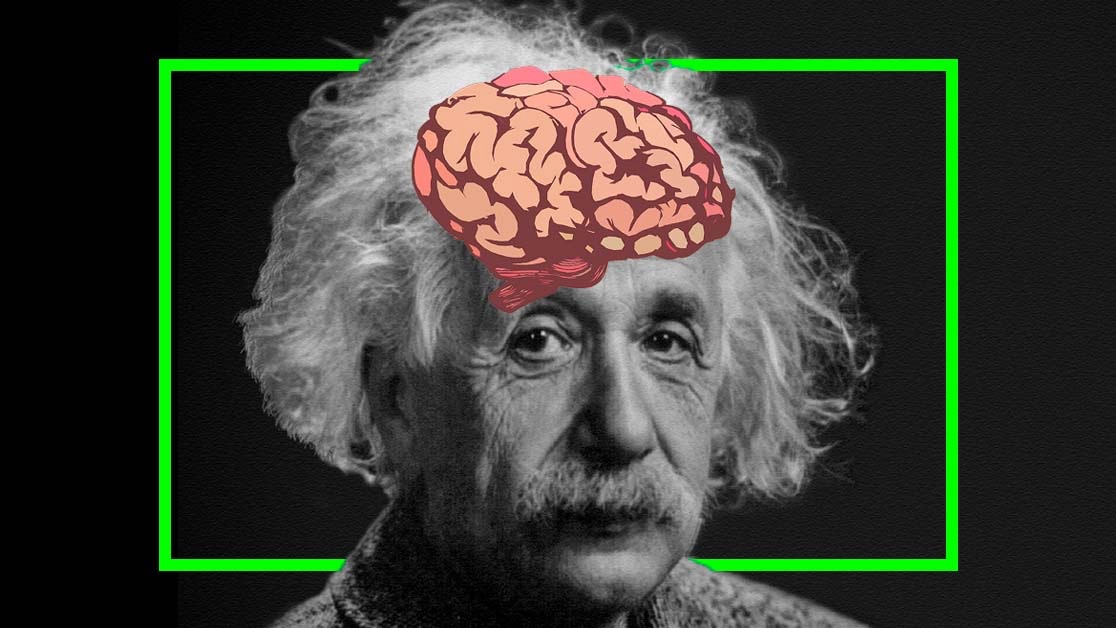 アインシュタインの脳は盗まれていた！ 23年間行方不明だった「人類