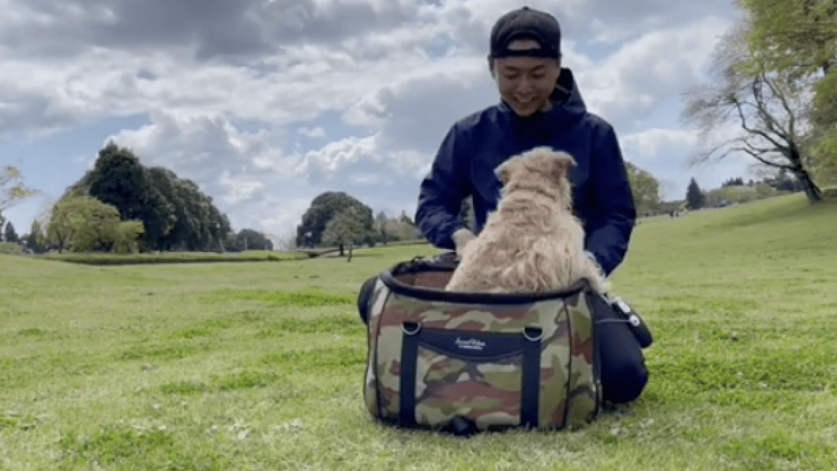 【愛犬へサプライズ】バッグから出るとそこは大好きな○○! リアクションが「可愛すぎる」とTikTokで話題