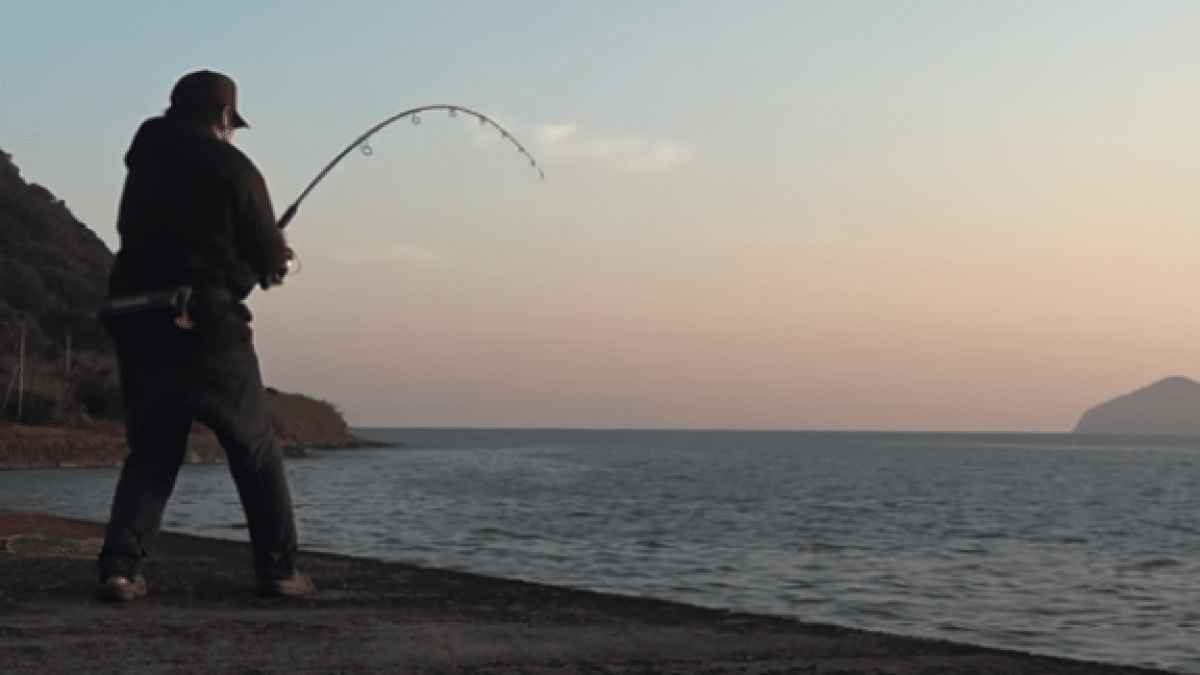 【驚愕】アジの泳がせ釣りで〝とんでもないサイズ〟が…!?